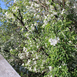 Meet your Posher, Marin